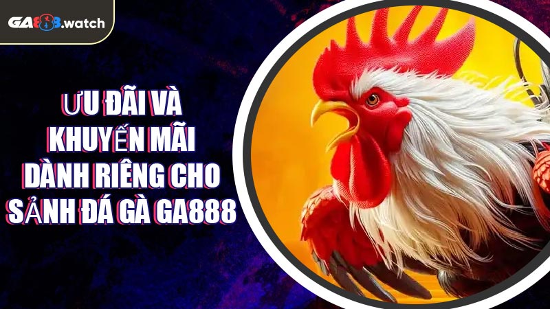 Ưu đãi và khuyến mãi dành riêng cho sảnh Đá Gà GA888